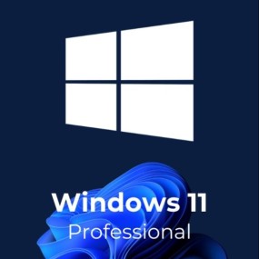 Windows 11 Professional