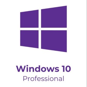 Windows 10 Professional
