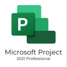 Project 2021 Professional
