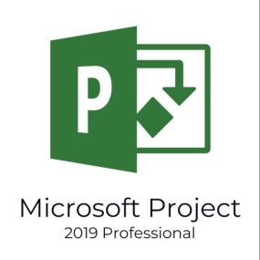 Project 2019 Professional